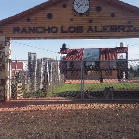 Rancho Los Alebrijes Zacatlán Exterior foto